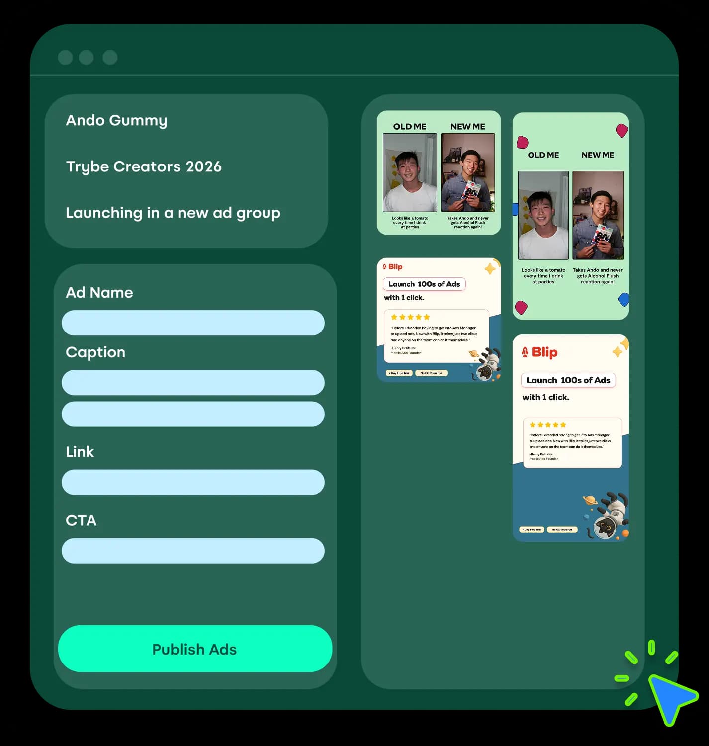 Blip's TikTok launcher with ad details and creative previews